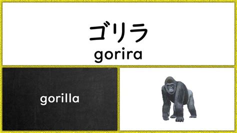 another word for gorilla.